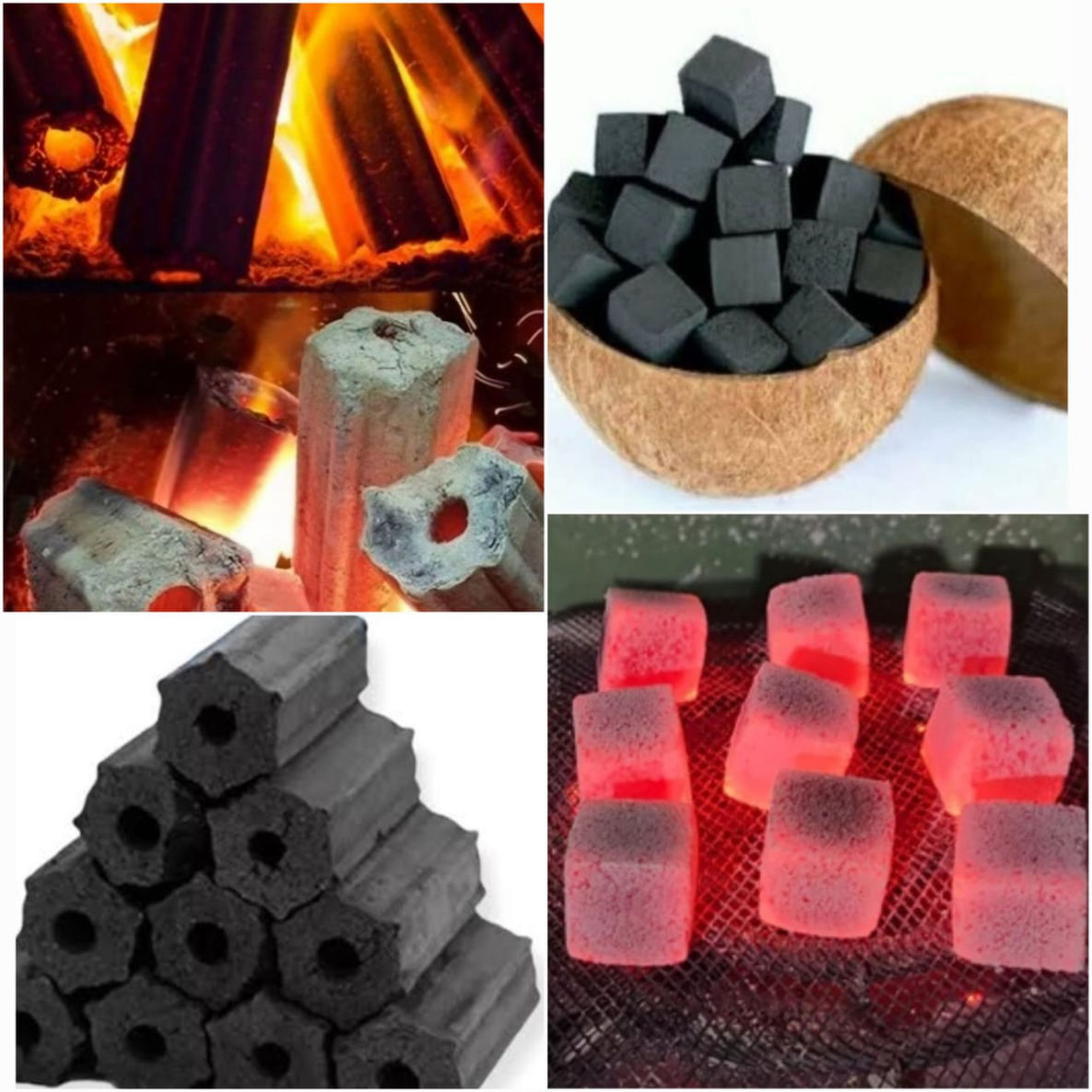 Briquette coconut charcoal